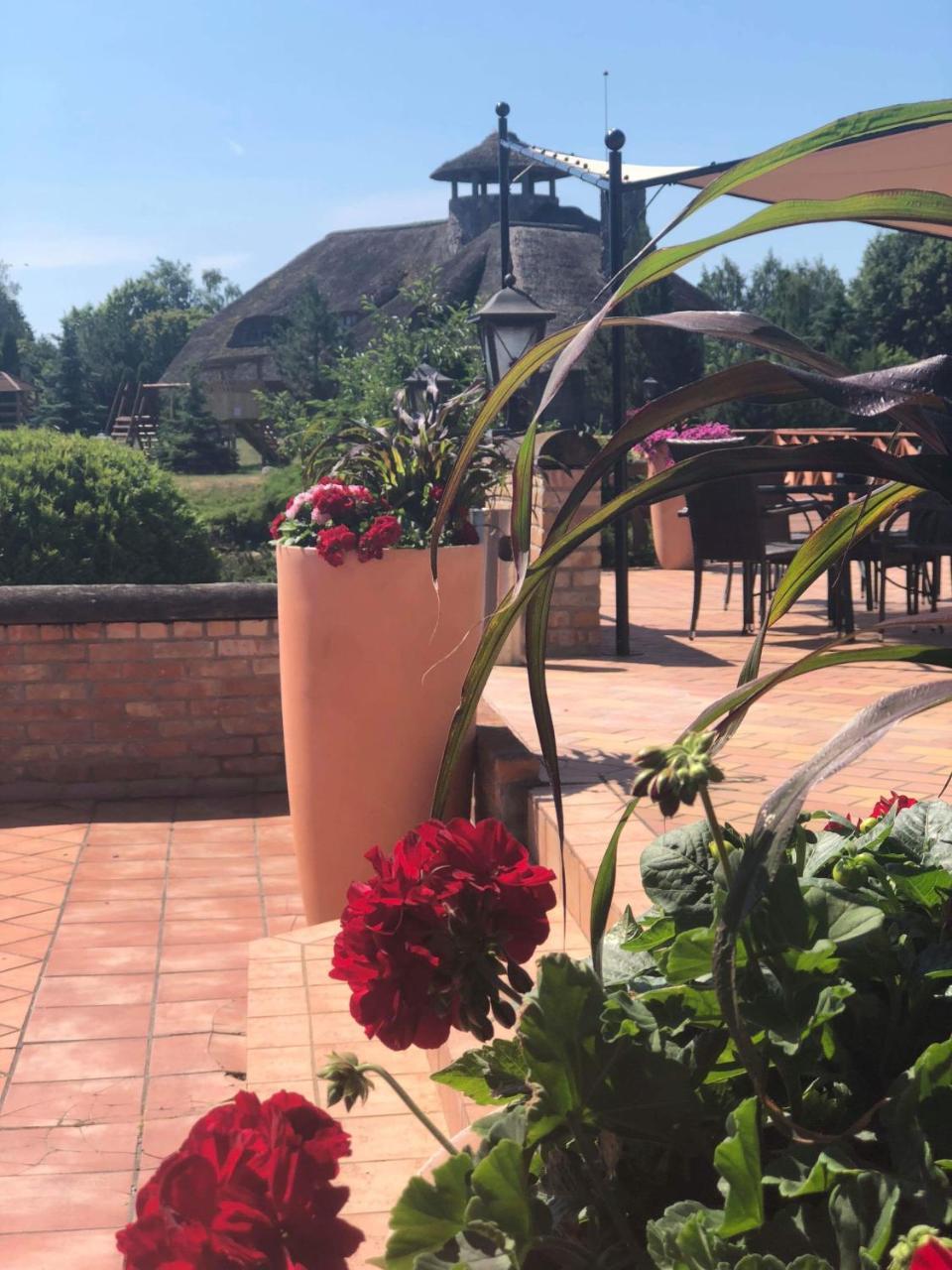Villa Audruvis Joniškis Esterno foto